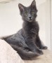 Berlioz (5)